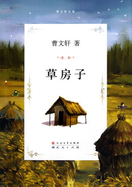 草房子读后感，草房子读后感500字