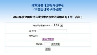 全国会计资格评价网
