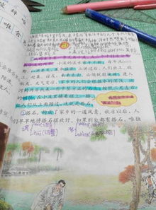 四年级上册语文的小练笔