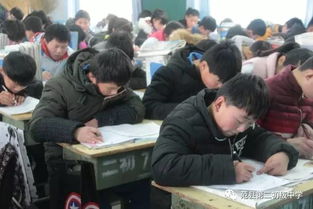 我的读书收获，我的读书收获20字