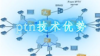 网络开发工程师具体是做什么的?