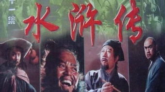 《水浒传》的故事，水浒传的故事情节概括