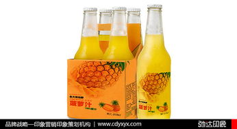饮料品牌策划，饮料品牌策划PPT