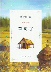 《草房子》读后感