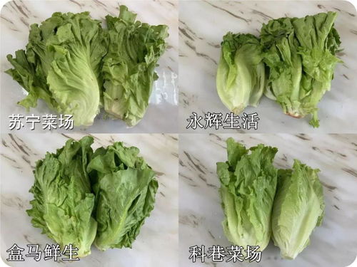 这是什么草药?听说能治腹泻?