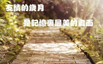 关于友情的句子，关于友情的句子唯美短句