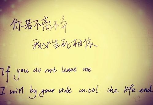 关于友情的好句子?
