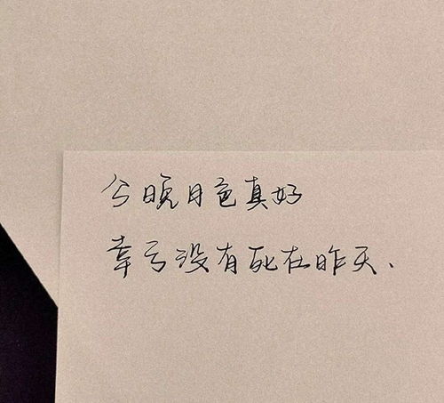 扎心8字短句