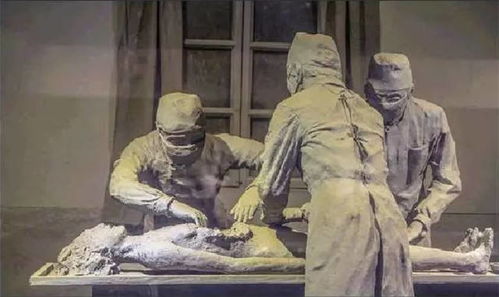 人畜杂交