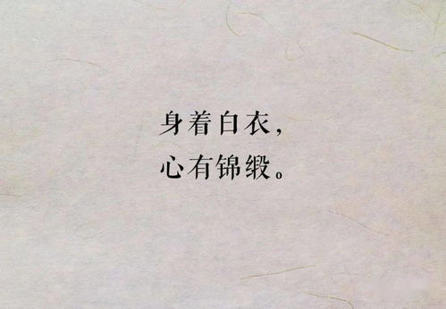 8字短句，8字短句友谊