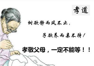 子欲养而亲不待的全诗，子欲养而亲不待的全诗的意思