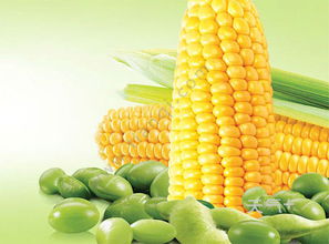 非转基因什么意思 非转基因的意思