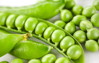 豌豆荚怎么做好吃又简单
