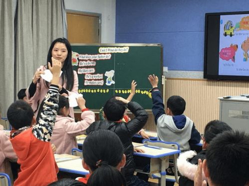 师范生的学信网是怎样的