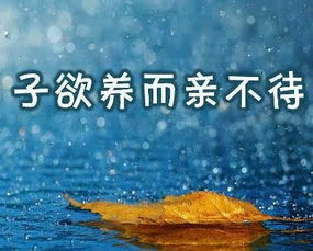 “树欲静而风不止,子欲养而亲不在”的全文是什么?