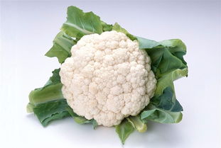花椰菜有哪些功效?