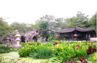 包公园的五爪湖的来历