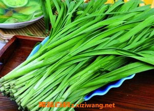 韭菜可以和小龙虾一起吃吗 韭菜与什么食物相克?