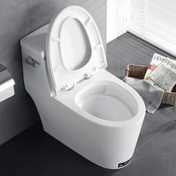 家里马桶堵了怎么办,马桶被大便堵了怎么办