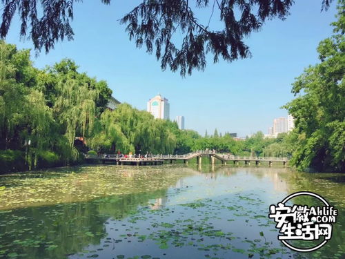 包公园，包公园需要门票吗