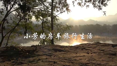 生活像什么