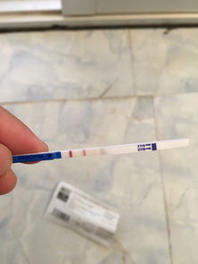 验孕纸怎么看