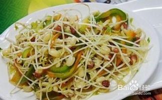 豆芽怎么好吃简单的方法