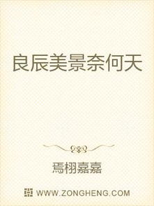 良辰美景奈何天的意思