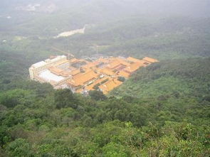 深圳梧桐山好玩吗，深圳梧桐山好玩吗多少钱