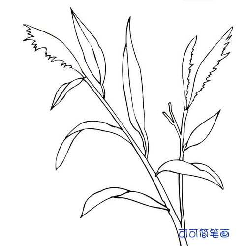 草怎么画好看而又简单