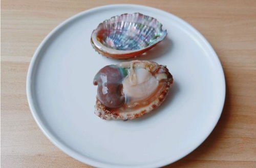 鲍鱼要蒸多少时间才能熟?