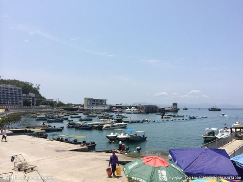 大海的水真蓝蓝像什么