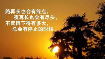 人都是相互的经典句子