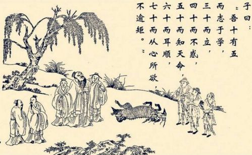 40不惑什么意思