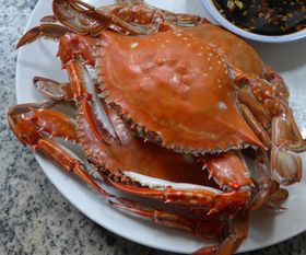 螃蟹需要蒸多长时间最好