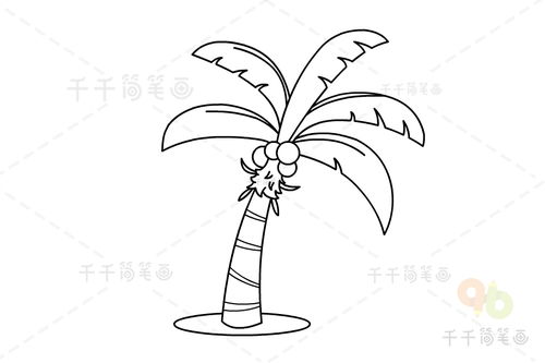 椰子树怎么画简单又好看