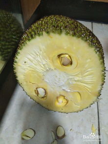 菠萝蜜怎么好扒