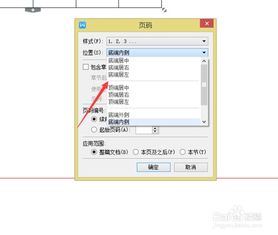 如何设置页码，如何设置页码自动编号