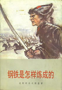 《钢铁是怎样炼成的》的全文是什么?