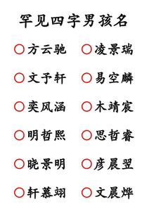 四字的姓名