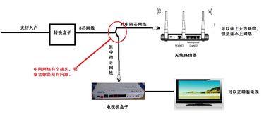 电脑连接不上网络是什么原因