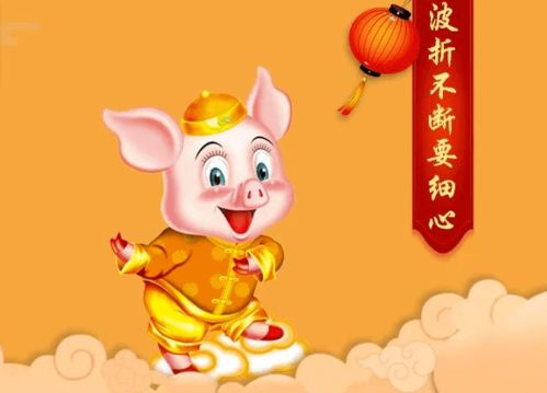 金肖是哪几肖