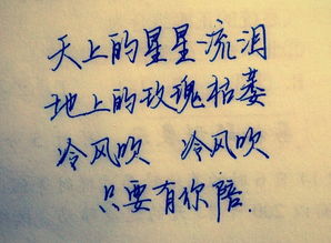 虫儿飞的歌词完整版，歌曲《你笑起来真好看》