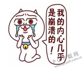 崩溃是什么意思