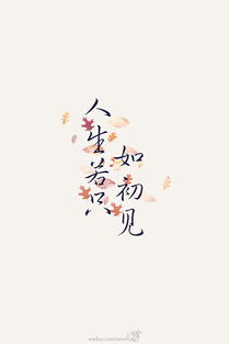 人生若只初见，人生若只如初见,何事秋风悲画扇啥意思