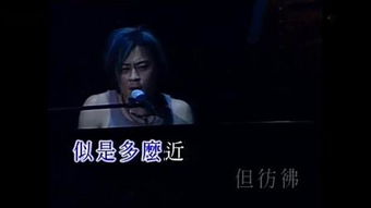 黑凤梨的原曲