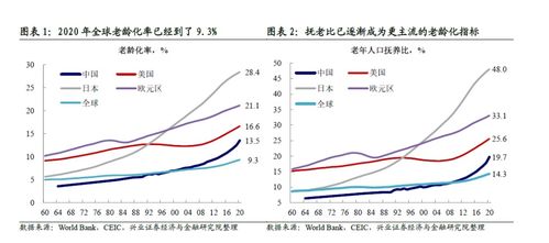 中国人的平均寿命多少岁?
