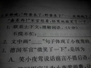 时倾什么意思