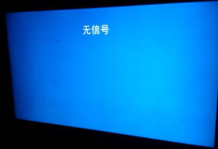 显示器出现无信号是什么原因?