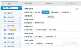 网上营业厅查通话记录，网上营业厅查通话记录可以查多久的